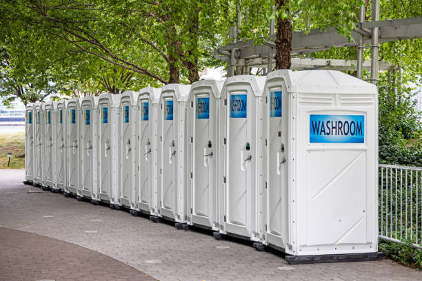 Best Affordable portable toilet rental  in West Dundee, IL